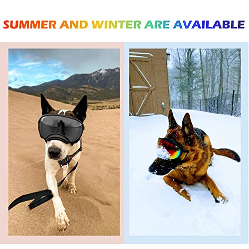 Large Dog Sunglasses