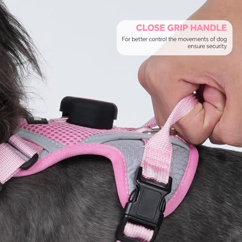 Cat Harness and Leash Set with AirTag Holder (Pink (Holder for Airtag) / M)