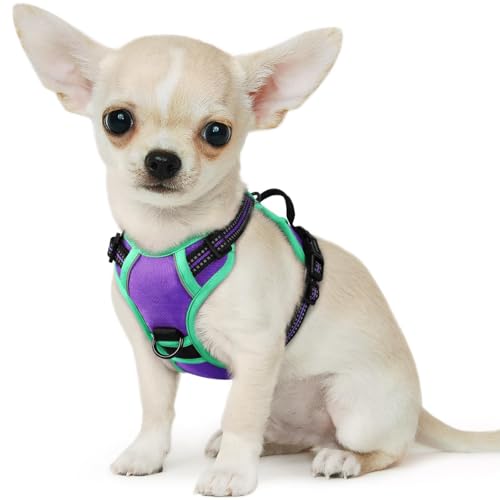 Dog Harness for Small Dogs (X-Small / Purple & Turquoise)