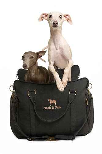 Dog Car Seat Booster for Small Dogs & Cats Under 25lb (Charcoal - Canvas / Medium)