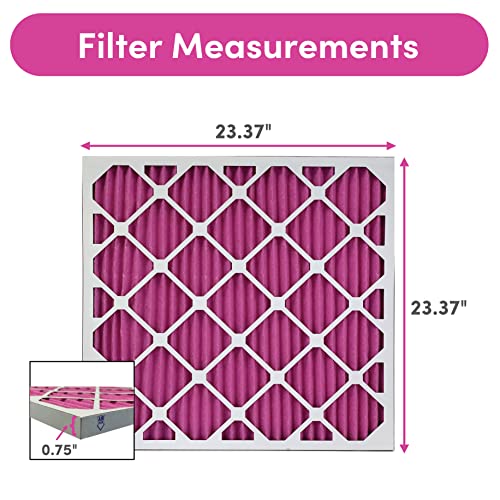 24x24x1 Air Filter (2-Pack / 24" x 24" x 1")