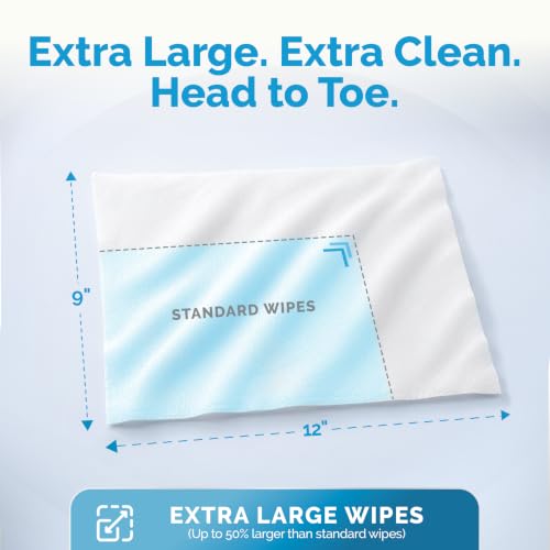 Active Body Wet Wipes for Adults (1 Count (Pack of 48))