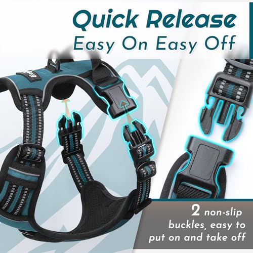 Dog Harness for Large Dogs (Large / Dark Green)