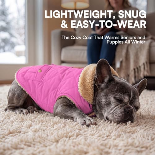 Waterproof Medium Dog Winter Coat Cold Weather Warm Fleece Jacket (Medium / Pink)