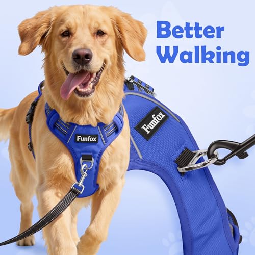 Dog Harness No Pull (Blue / X-Large)