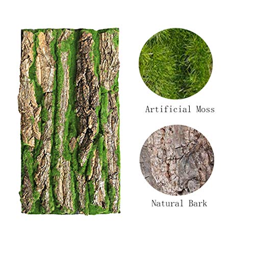Cork Terrarium Background (【2 PCS】)