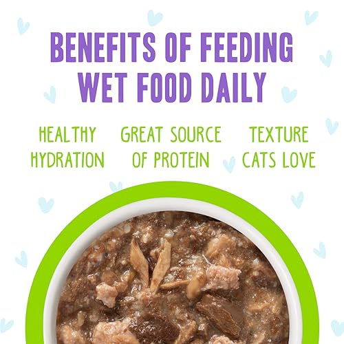 B.F.F. OMG Best Feline Friend Oh My Gravy! (2.8 Ounce (Pack of 12))