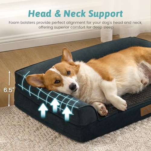 Orthopedic Dog Bed for Large Sized Dogs (Black / L:36x27x6.5 inch)