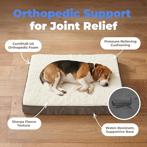 Orthopedic Dog Bed with Memory Foam (Brown / 35" x 22" x 4")