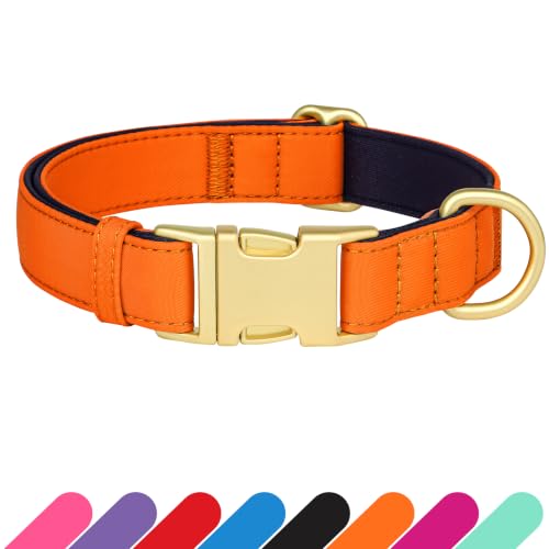 Soft Padded Dog Collar for Small Dogs (Orange / S：Fit 10-15" Neck, Width ⅝")