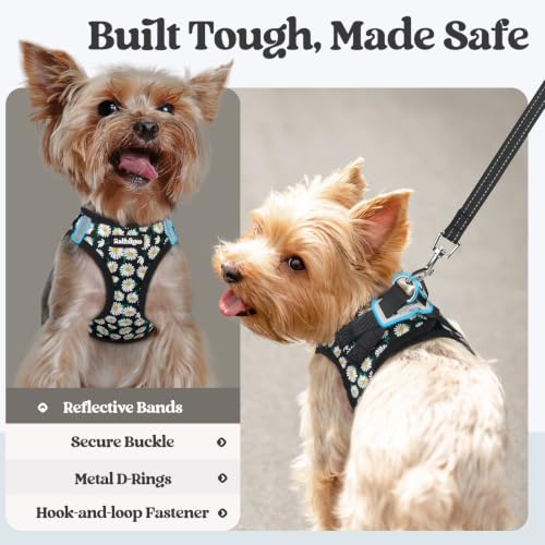 Dog Harness Small Sized and Leash Set (Midnight Daisy / Xs (chest: 13.3 - 15.5"))