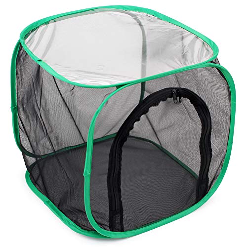 Insect and Butterfly Habitat Cage Terrarium Pop (Black With Green / 12 x 12 x 12 inches)
