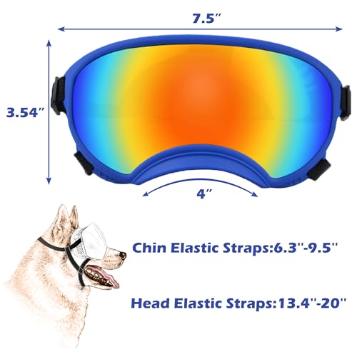 Large Dog Sunglasses