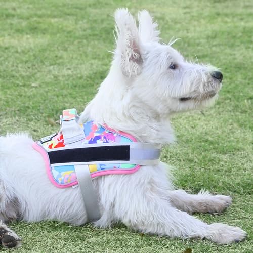 Dog Harness No (X-Large (Pack of 1) / OilPainting)
