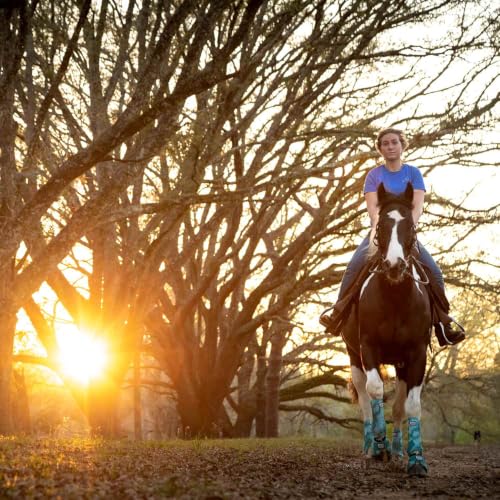 Expression Protective Horse Boots (Bisbee Blue / Small)