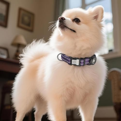 Reflective Dog Collar with Airtag Holder for Small Dogs (Z: Purple / S: with Airtag Holder)