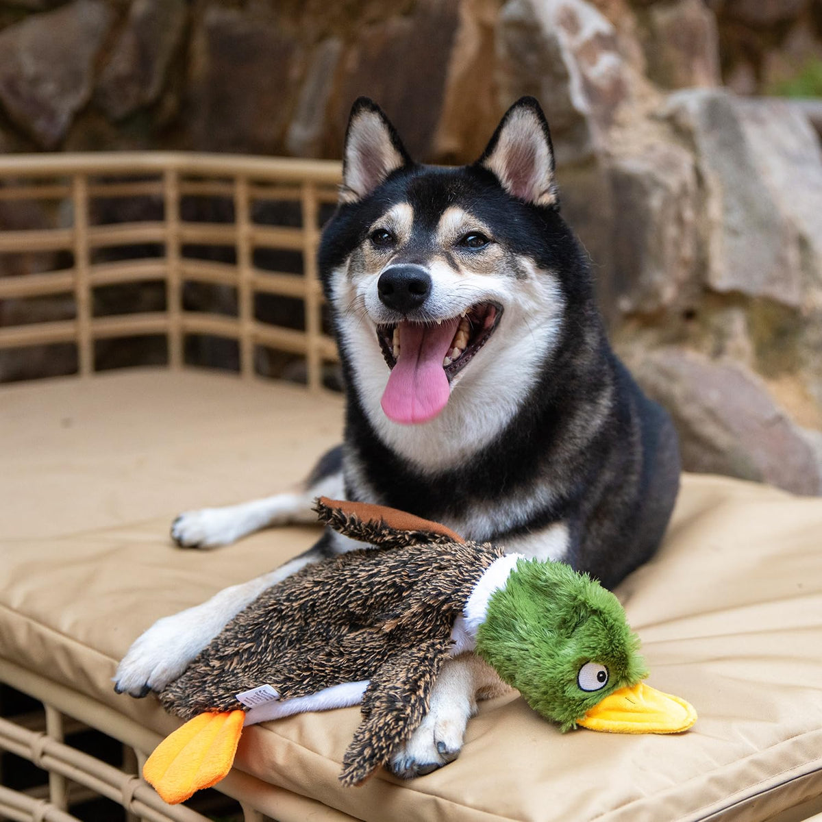 2-in-1 Stuffless Squeaky Dog Toy - 4 Figures, Large (Wild Duck, Hare, Squirrel & Alligator / Large)