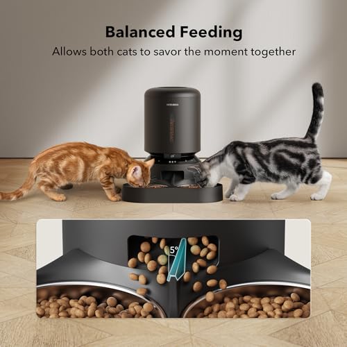 Automatic Cat Feeder with Camera for Two Cats (Black / 5L (With Camera))