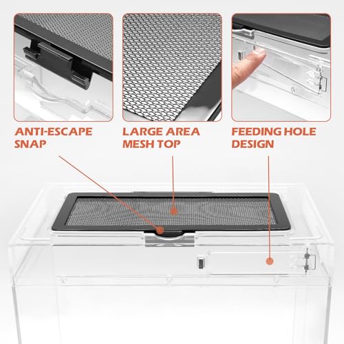Reptile Tank Starter Kit (Small(12*9*7IN))