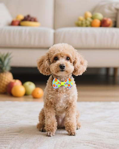10 Pack Fruit Dog Bowties for Small Dogs Sliding on Collar (S/M)