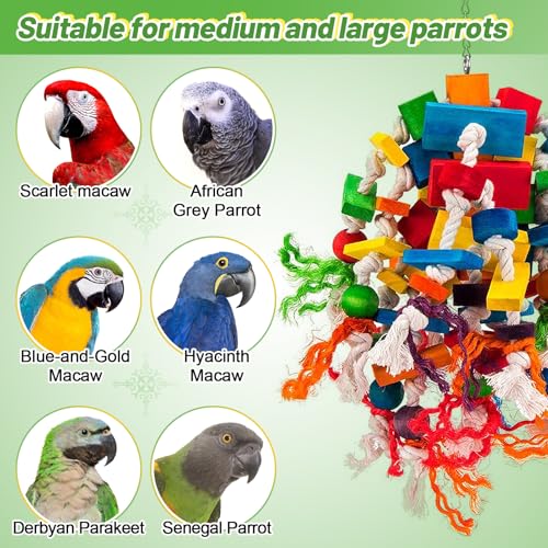 Large Parrot Toy (Elliptical)