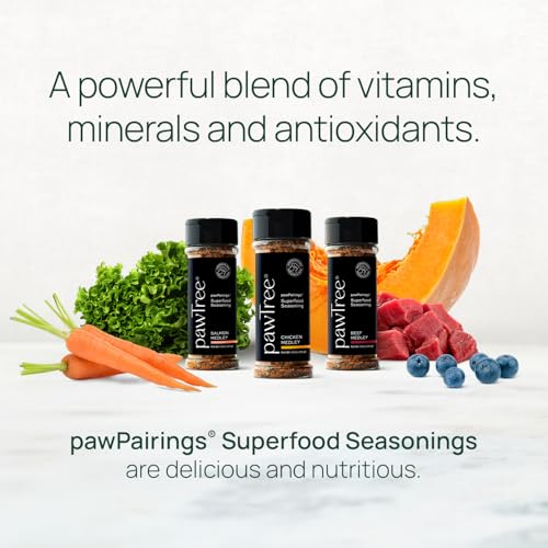 Unleash Your Inner Chef