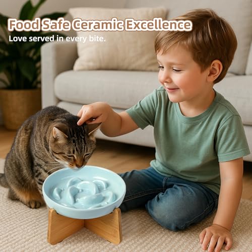 Elevated Ceramic Slow Feeder Cat Bowl (Green Elevated (Bamboo) / 3.7"H Elevated (Bamboo))