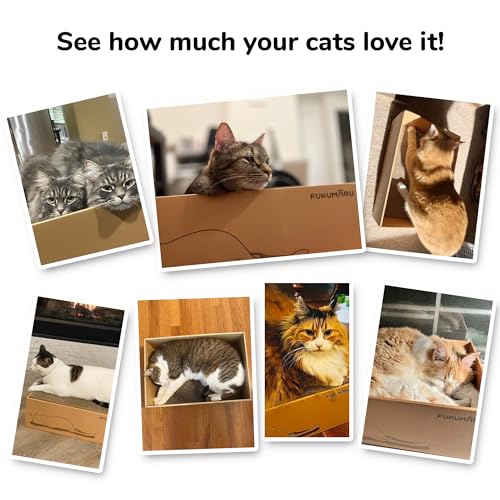 5 PCS Cat Scratching Boards