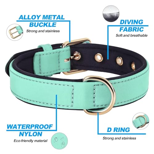 Soft Padded Dog Collars for Medium Dogs (Green / L: Fit 13-17" Neck)