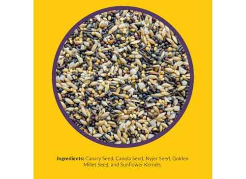 Small Songbird (5 Pound (Pack of 1))