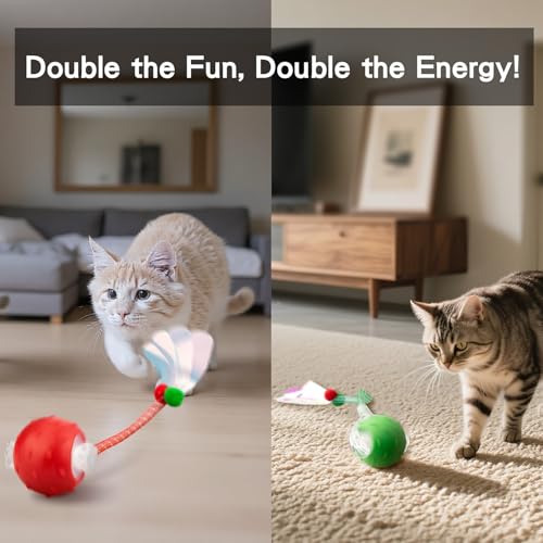 Red & Green Interactive Cat Toy Ball Combo (Red & Green)
