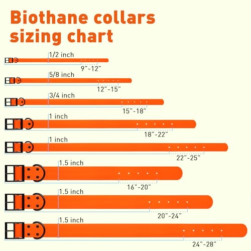 Biothane Waterproof Dog Collar Strong Coated Nylon Webbing with Black Hardware Odor (W3/4" x L15-18" / Hunter Orange)