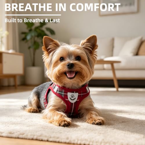 Dog Harness Collar and Leash Set No Pull for Small Medium Sized (Red / XS (CHEST 13"-14.5"))