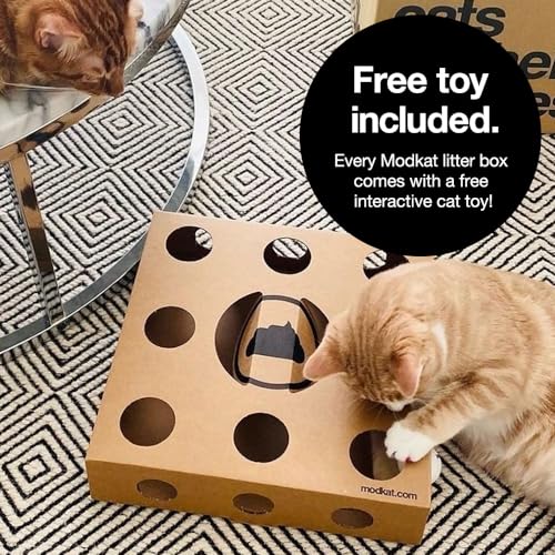 XL Cat Litter Box (White, Gray, Black)