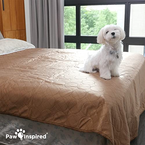 Washable Pee Pad for Dogs (72x72" (1 pack))