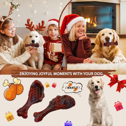 Dog Chew Toys for Aggressive Chewers (Beef Flavor / 1 Pack)