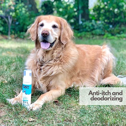 Hypoallergenic Waterless Dog Shampoo (8 Fl Oz / Spring Meadow)