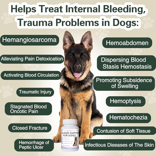 Quick Stop Bleeding for Dogs