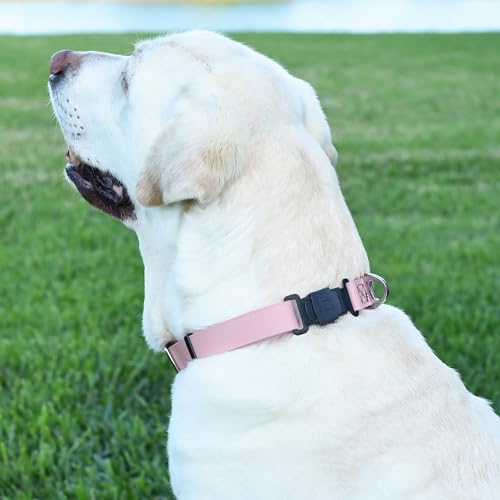 Biothane Waterproof Dog Collar with Herm Sprenger Stainless Steel Quick Release Buckle (W 3/4" x L 12"-19" / Pastel Purple)