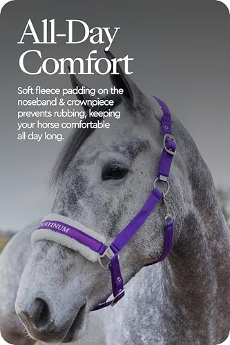 Howard Soft Fleece Horse Halter (Warmblood / Purple)