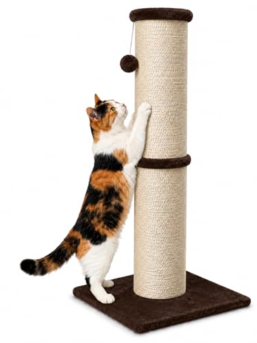 32 Inch Tall Cat Scratching Post (X-Large / Brown)