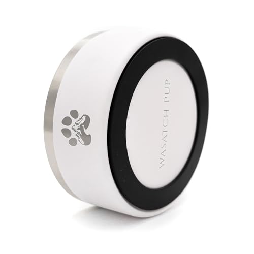 Stainless Steel Dog Bowl (Black / 64oz)