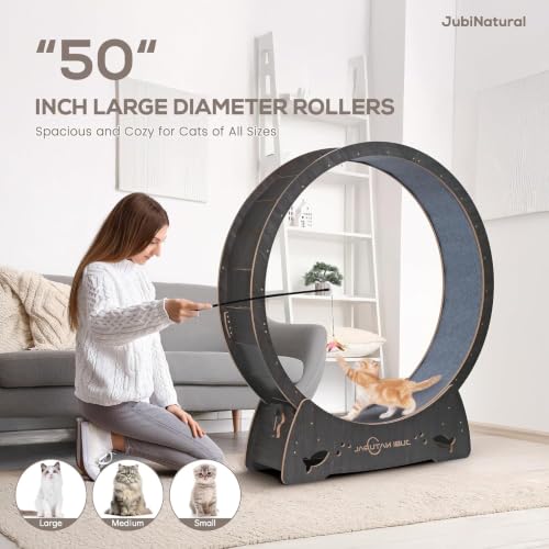 50" XL Cat Exercise Wheel (BLACK / 50")
