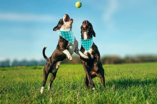 Dog Bandana Fabric Ball Dogs Kerchief for Small Medium Large Dogs (Tennis Ball / Small (Pack of 1))