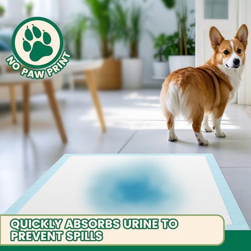 Heavy Duty Puppy Pads 50 Count (30" x 28" (50 Count Heavy Duty))