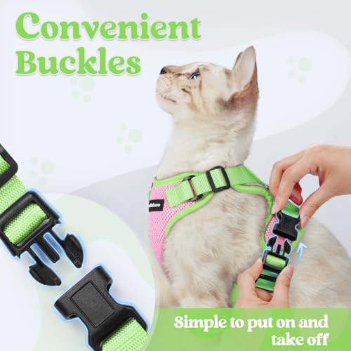 Cat Harness and Leash Set (Pink & Light Green / Xxs)