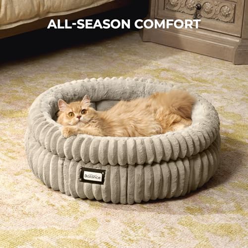 Cat Bed Kitten Bed (20.0"L x 20.0"W x 8"Th / Wind Chime)