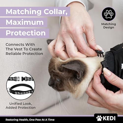 Cat Recovery Suit Female After Spay (Black / Medium)