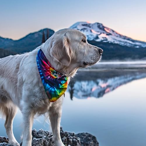 Dog Bandana with Lightweight Quick Drying Poly (Tiedye)