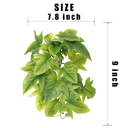 Fake Sweet Potato Vine (Fake Sweet Potato Vine)